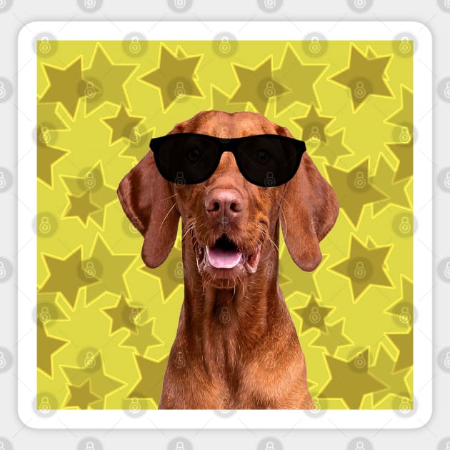 Cool Dog and Stars Sticker by SandraKC